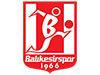 Balıkesirspor