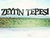 Zeytin Tepesi