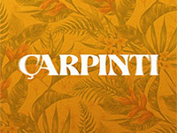 Çarpıntı