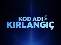 Kod Adı Kırlangıç