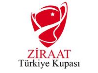 Türkiye Kupası 2012-2013