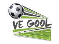 Ve Gool