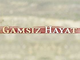 Gamsız Hayat