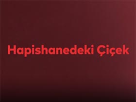 Hapishanedeki Çiçek