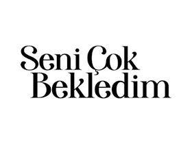 Seni Çok Bekledim - Ali İpin Kimdir?