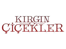 Kırgın Çiçekler - Serdar Çakmak Kimdir?