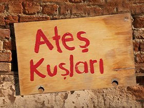 Ateş Kuşları - Evren Erler Kimdir?